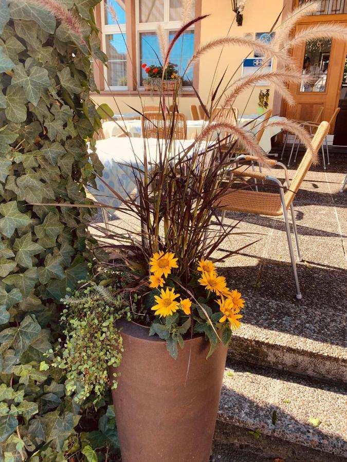 Allschwil Hotel Roessli מראה חיצוני תמונה
